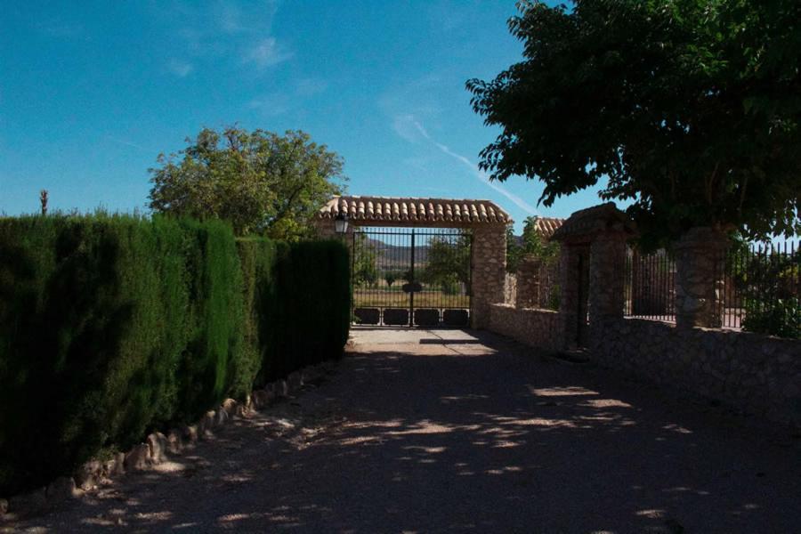 Cortijo De Abajo Villa Puebla De Don Fadrique Dış mekan fotoğraf